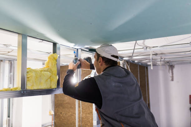 Best DIY Insulation Kits and Guidance in Colonial Heights, TN
