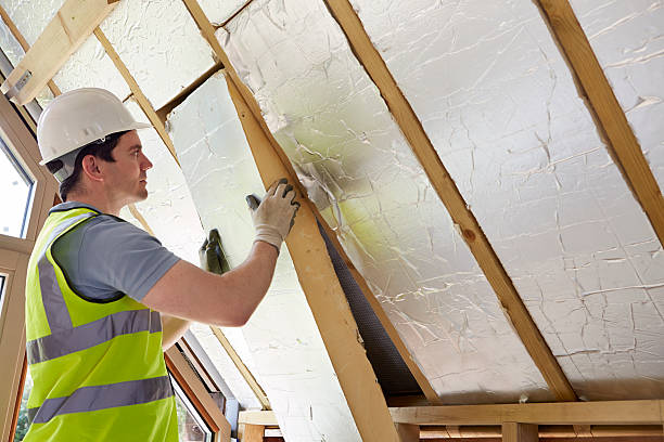 Best Specialized Insulation Services in Colonial Heights, TN