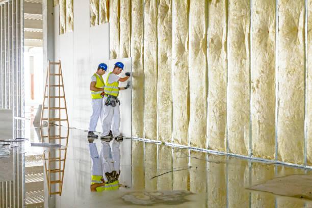 Types of Insulation We Offer in Colonial Heights, TN